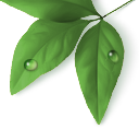 ITGreenYug, Ltd.